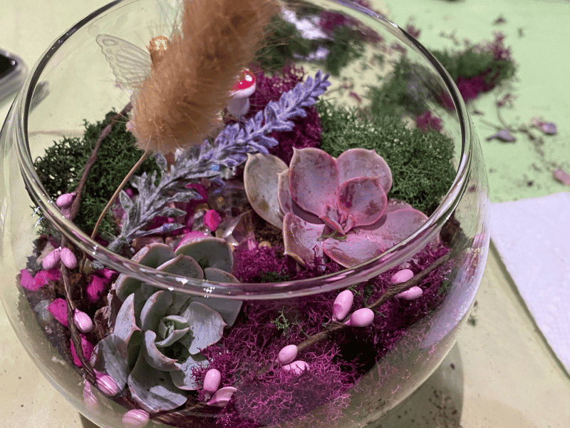 Dig In: Make Your Own Succulent Terrarium - Gallery image