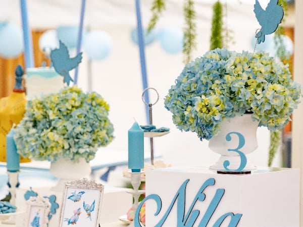 Evening Magic: Cinderella-Themed Fairytale Event Package - Birthday - Featured image