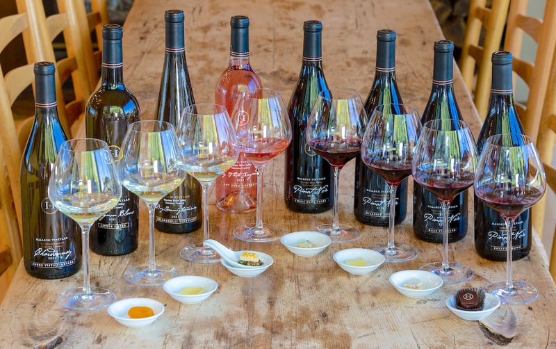 Six Wine Seated Tasting With Paired Bites and Vineyard Views - Gallery image