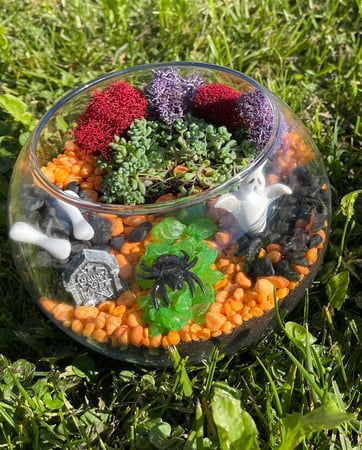 Halloween Succulent Terrarium Class - Holiday Party in San Mateo - Featured image