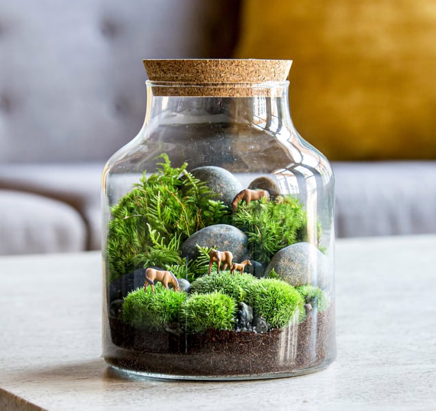Terrarium Creation Workshop for Team Building - Gallery image