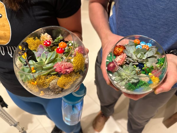 Dig In: Make Your Own Succulent Terrarium - Team Building - Featured image