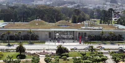 California Academy of Sciences Self-Facilitated Treasure Hunt