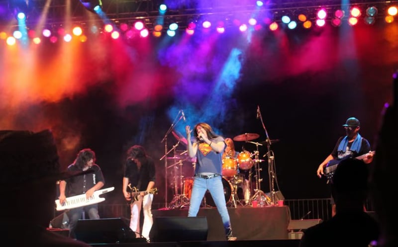 Bay Area Live Performance for Reception and Corporate Programs - Gallery image