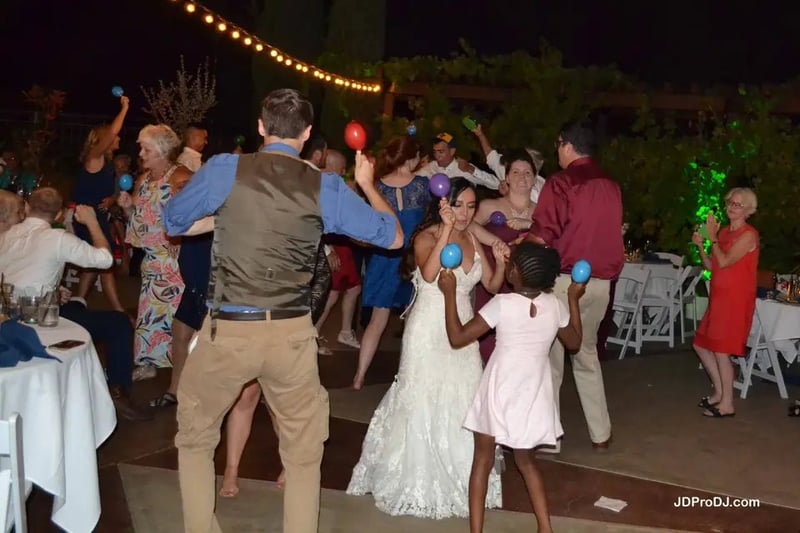 Six-Hour Wedding DJ MC with Cocktail and Reception Sound - Gallery image