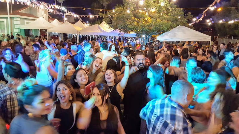 Wedding DJ MC Ceremony and Reception with Mics and Lights - Gallery image