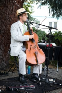 Eight-Hour Wedding DJ MC with Cello, Lighting, and Effects