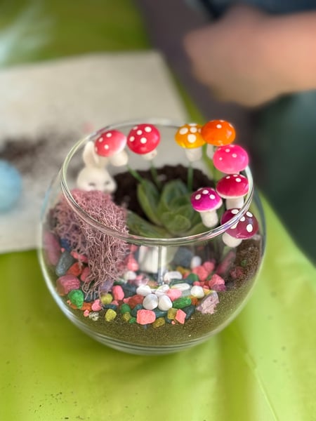 Halloween Succulent Terrarium Class - Gallery image