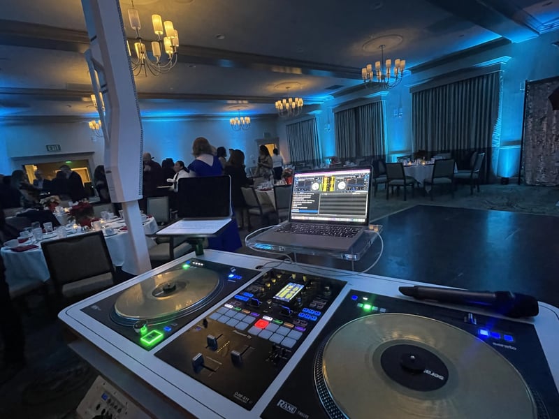 Six-Hour Wedding Reception DJ MC with Sound and Microphones - Gallery image