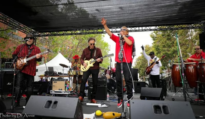 Bay Area Live Music for Wedding, Corporate, and Private Events - Gallery image