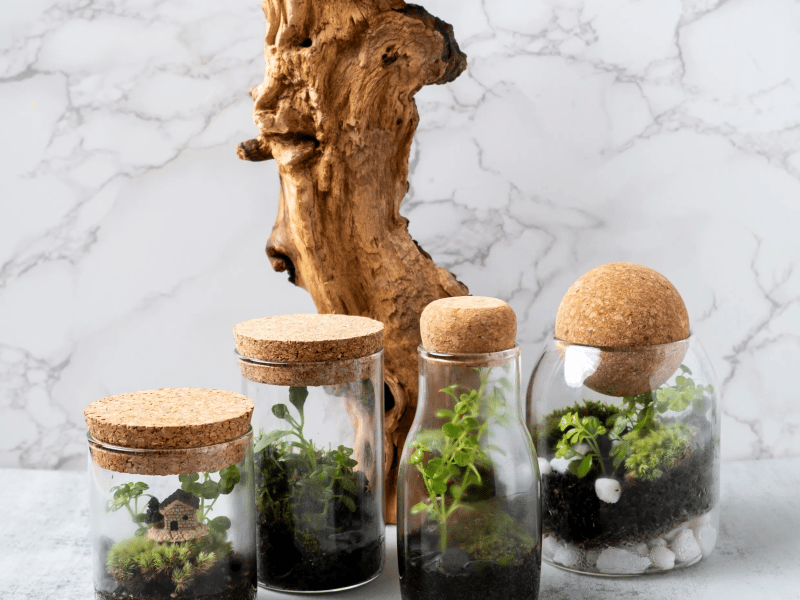 Mini Terrarium Workshop - Gallery image