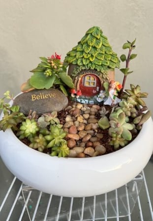 Fairy Garden Creation (Instructor Travels) team building experience