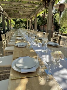 Paradise Buffet With Seabass, Filet Mignon And Pasta Bar