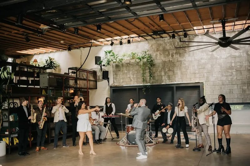 Bay Area DJ and Live Musician Hybrid for Weddings and Events - Gallery image