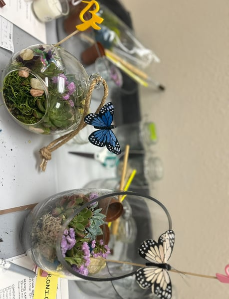 Mini Plant Oasis Terrarium Workshop with Snacks and Bubbly - Gallery image