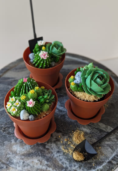 Buttercream Cupcake Decorating Workshop: Succulent Design - Gallery image