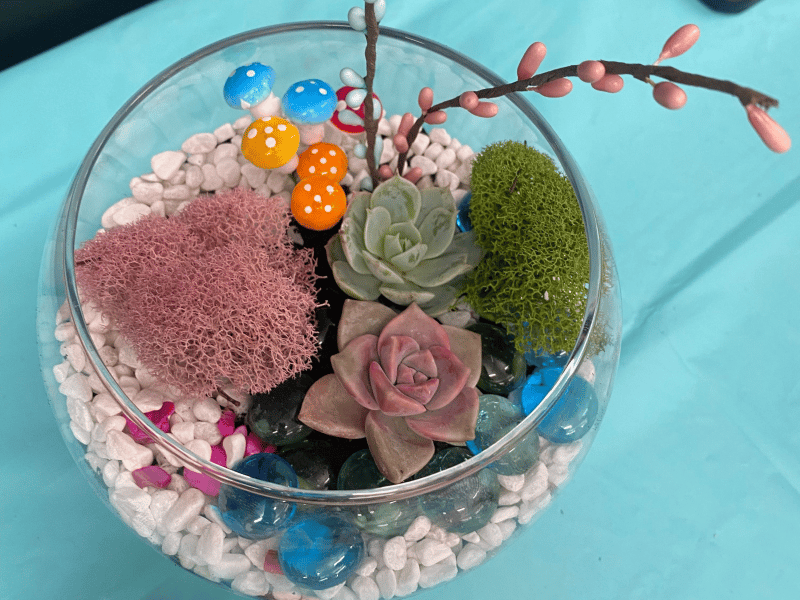 Virtual Team Succulent Terrarium Workshop - Gallery image