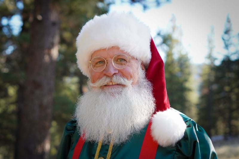 Santa Claus for Hire — Grandfatherly Real-Beard Santa Visits - Gallery image