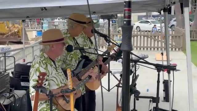 Hawaiian Style Musicians for Luau Parties and Wedding Events - Gallery image