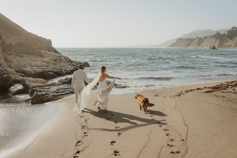 Elopement Photography Three-Hour Bay Area Coverage Erin Prado - Gallery image