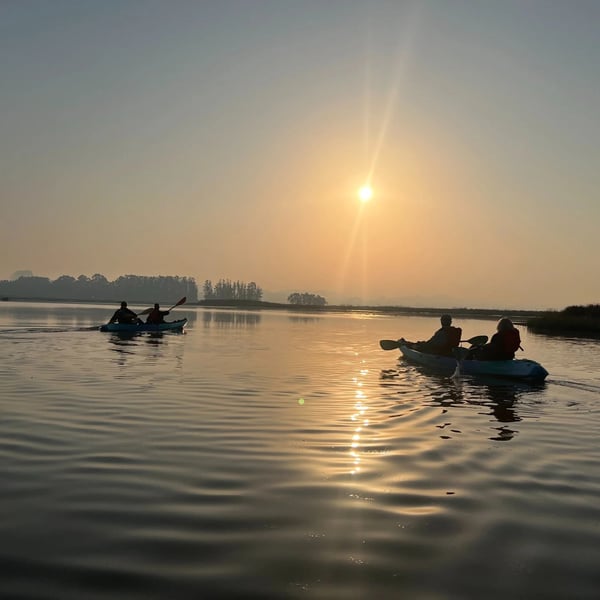 Guided River Adventure: Paddle or Pedal Together as One Crew - Gallery image