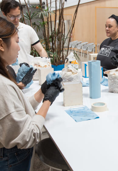 Fungi Biofabrication: Crafting Mycelium Bud Vases - Gallery image