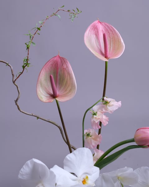 Blush and White Centerpiece Set of Two with Orchids and Tulips - Gallery image