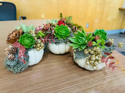 Pumpkin Succulent Planter Experience