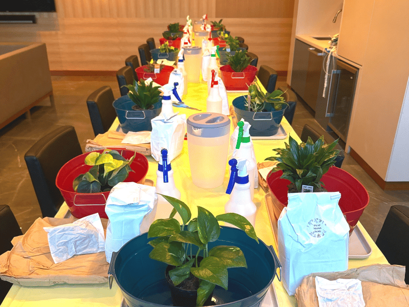 In-Studio Kokedama: TeamBuilding Workshop - Gallery image