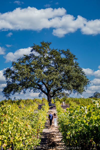 Wine Country Wedding Photography Eight-Hour Signature Coverage - Gallery image