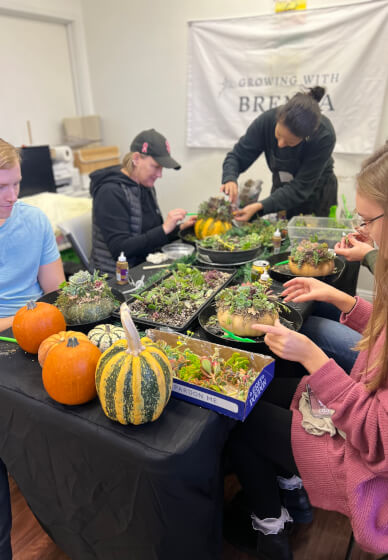 Succulent Pumpkin Workshop for Creative Team Building - Gallery image