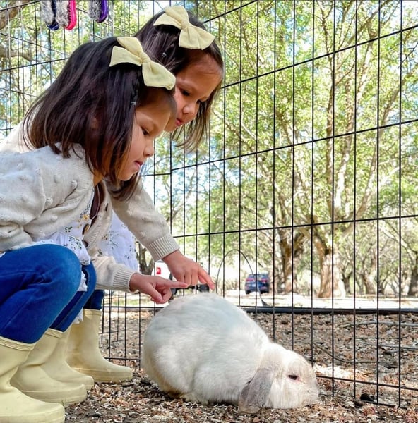 Mobile Petting Zoo for Kids Birthday Parties and Family Events - Gallery image