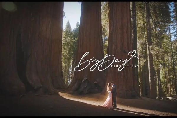 Wedding Videographer Silver Eight Hour Two Shooter Drone Films - Anniversary - Featured image