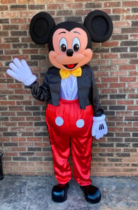 Costumed Mascot Performer for Birthday Parties