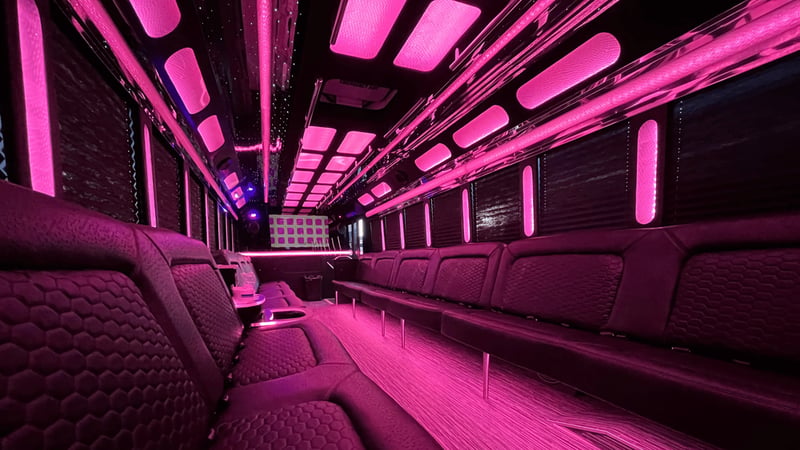 Luxury Medium Party Bus Rental for Groups of Up to 28 Guests - Gallery image