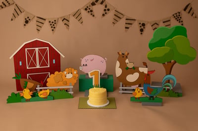 Farm Animal Themed Birthday Celebration Package