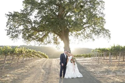 Elopement Wedding Videographer Cinematic Four Hour Coverage
