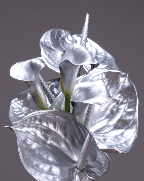 Metallic Silver Calla Lily and Anthurium Bridal Bouquet - Gallery image
