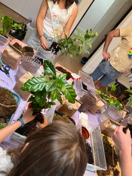 In-Studio Kokedama: TeamBuilding Workshop - Gallery image