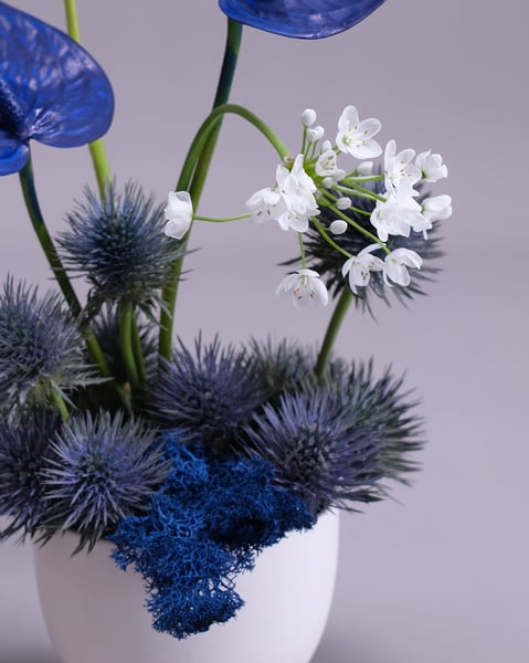 Celestial Blue Anthurium Arrangement Set of Two with Thistle - Gallery image