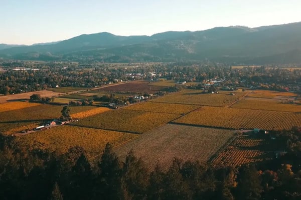 Wedding Videographer Cinematic Six Hour Drone Standard Films - Anniversary - Featured image