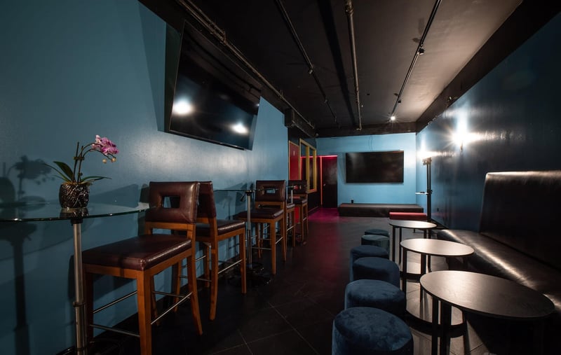 Private Karaoke Entertainment Room with Full Bar - Gallery image