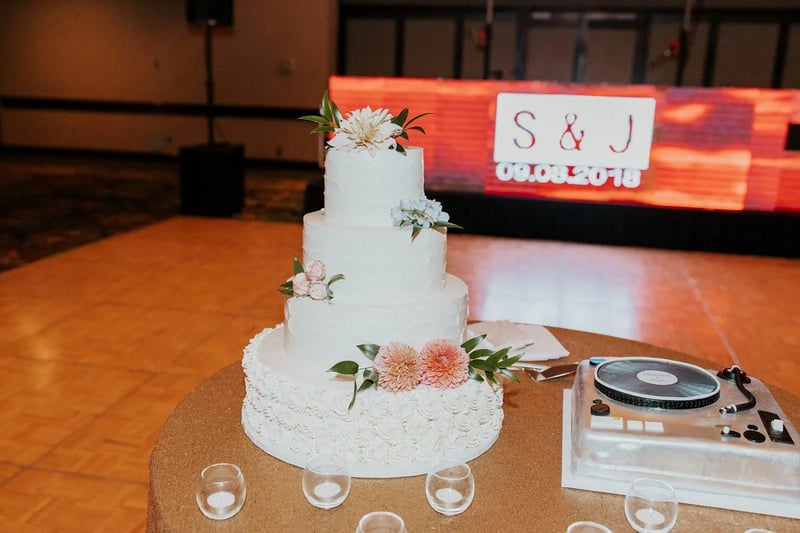 Five-Hour Wedding DJ MC with Cocktail Sound and Uplighting - Gallery image