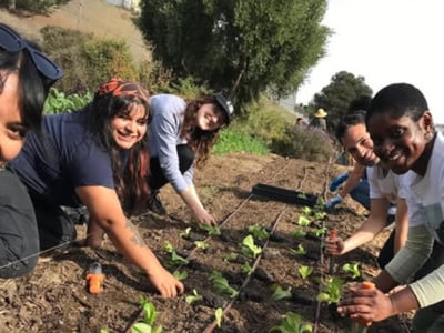 Volunteer & Garden for a Cause — Grow Food, Grow Community Experiences in San Francisco - Featured