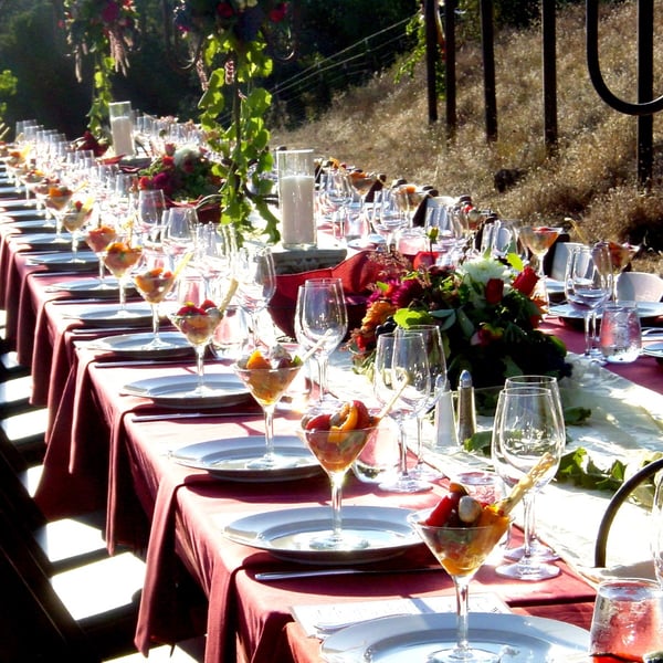 Garden Wedding All Inclusive Reception Stations And Light - Featured image
