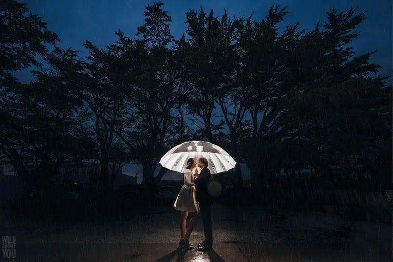 Extra Large Event Lighting — Up to 72 Uplights, Corporate - Gallery image