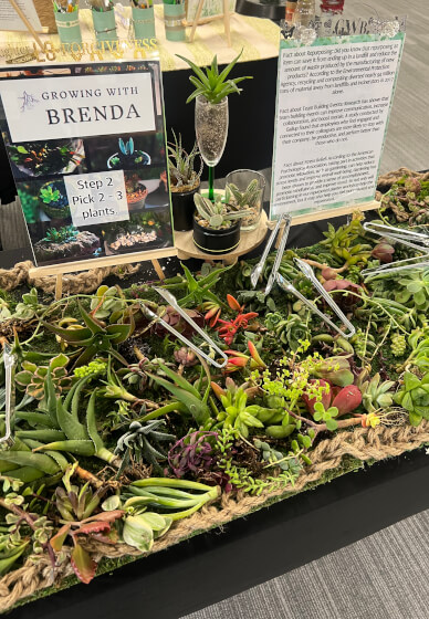 Spring Garden Succulent (Instructor Travels) - Gallery image