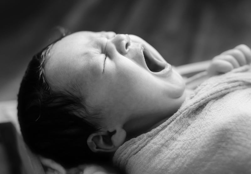 Newborn Studio Photography 90 Minute Baby Solo Portrait - Gallery image