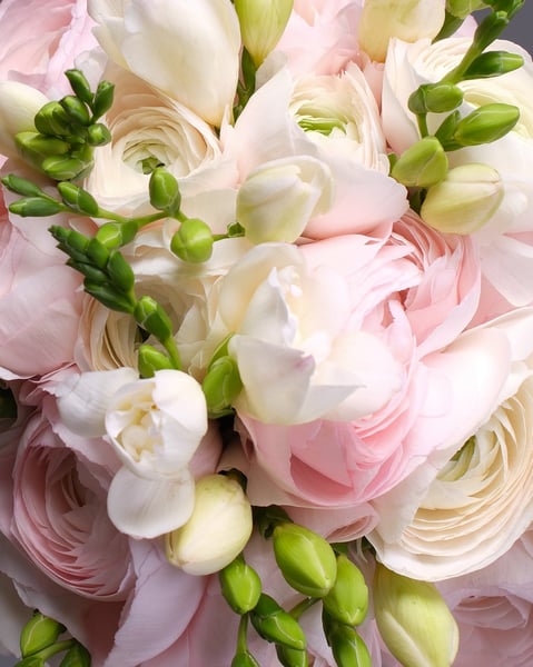 Round Blush and White Bridal Bouquet with Ranunculus and Freesia - Gallery image