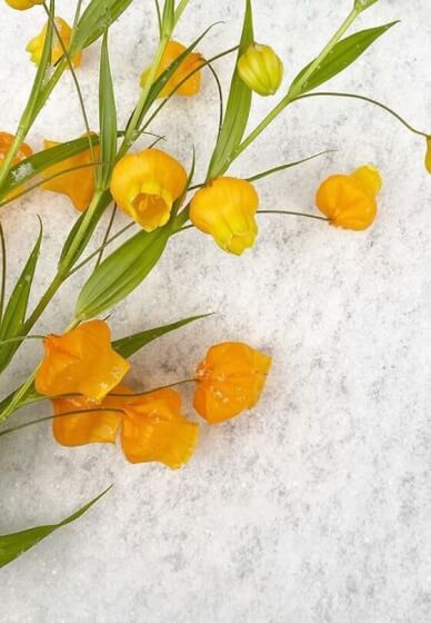 Advanced Floral Design Workshop for Team Building - Gallery image